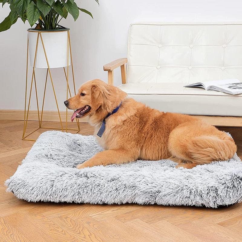 Plush Dog Bed with Removable Covers for Cleaning Super Soft Claming Beds