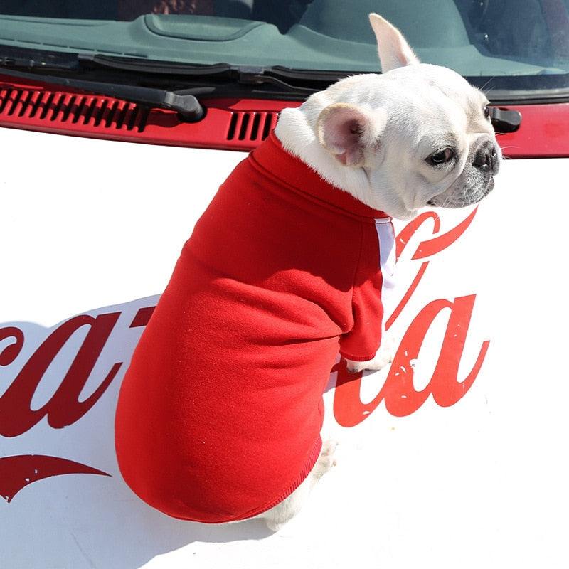 Tracksuit Style Winter Jacket For Small And Medium Dogs
