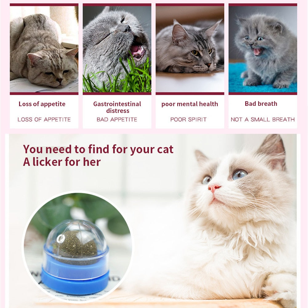 100% All Natural Catnip Wall Ball to Clean Mouths & Promote Digestion