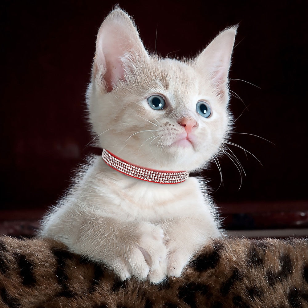 Soft Suede Leather Cat Collar with Bling Rhinestone & Bell