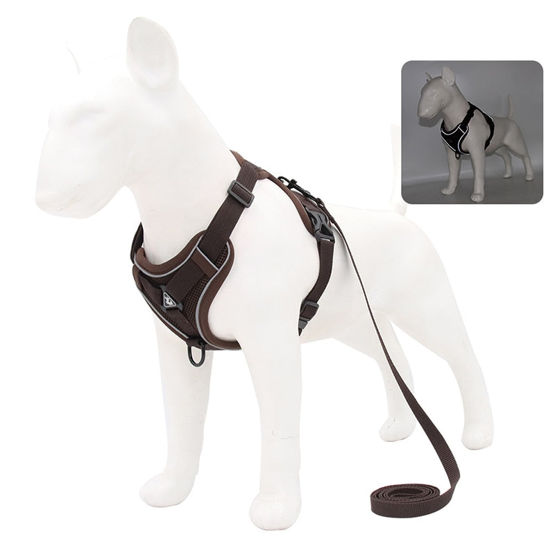 No Pull Dog Harness and Lead Set Adjustable Vest For Small Dogs with Reflective Mesh