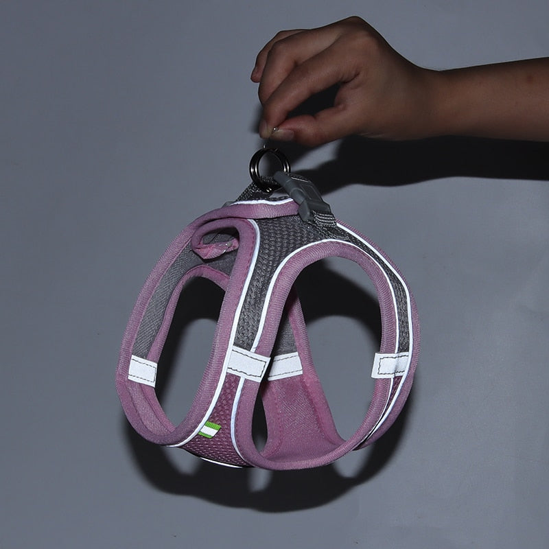 Escape Proof Cat Harness and Lead Set Adjustable Mesh