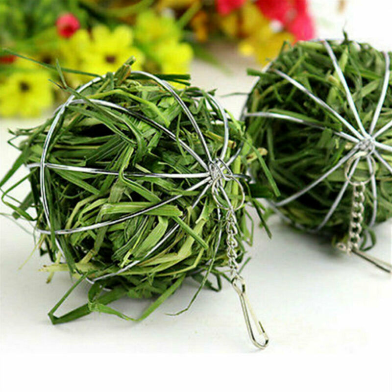 Stainless Steel Round Sphere Feed Dispenser Hanging Hay Ball