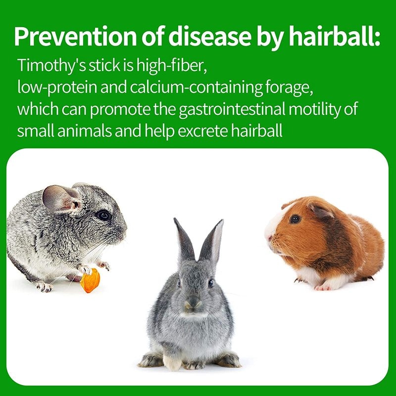 Carrot Chew Toy For Hamsters And Other small Rodents(Safe and healthy teeth grinding stick)