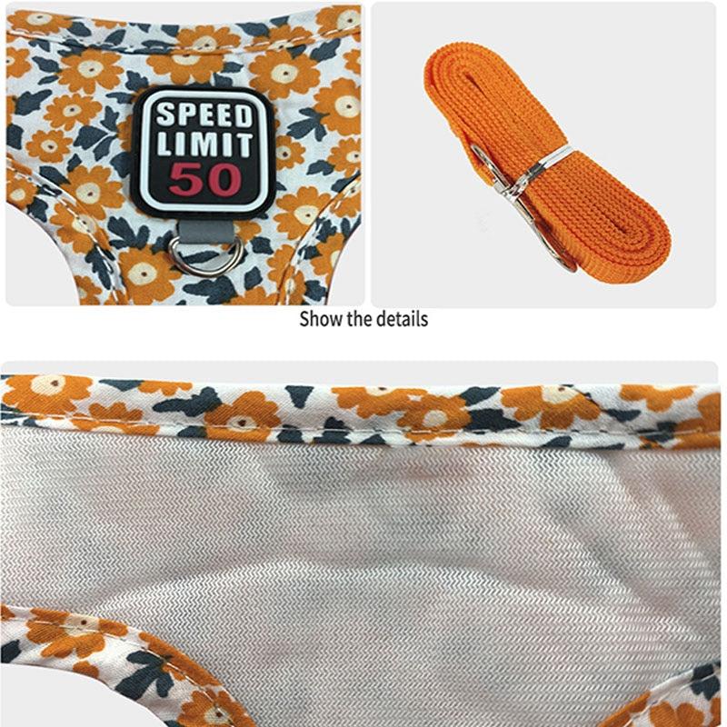 No Pull Dog Harness & Lead Set for Small Medium Dogs with Reflective Harness Vest