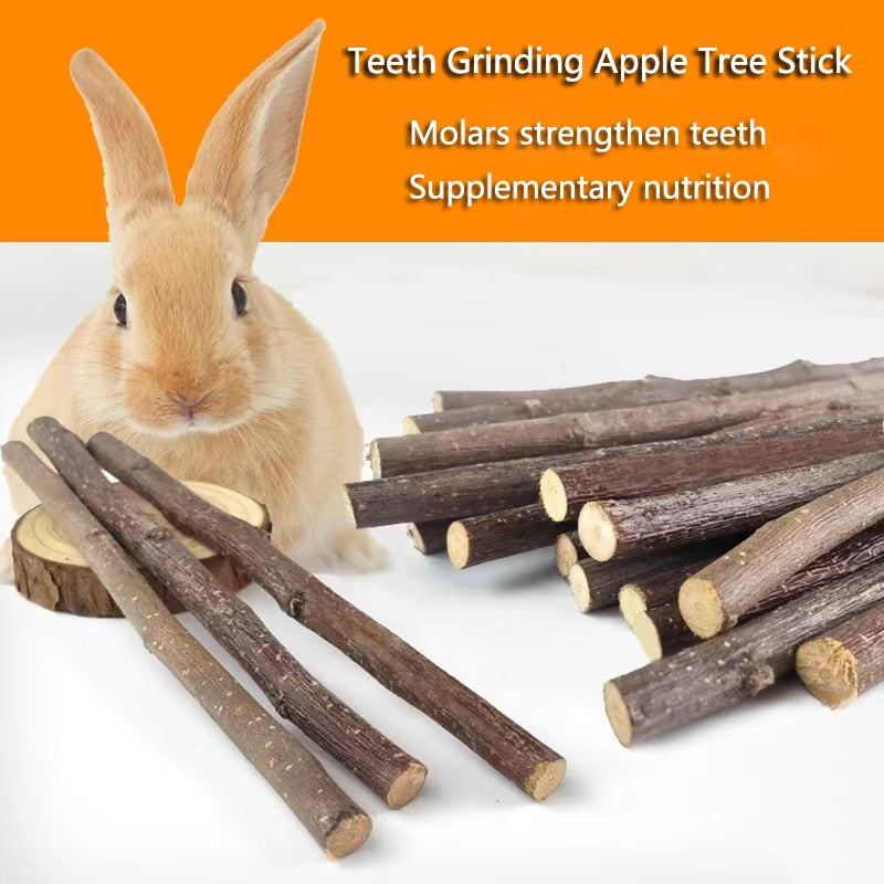 Teeth Grinding Apple Tree Stick with Minerals For Hamsters and Other Small Rodents