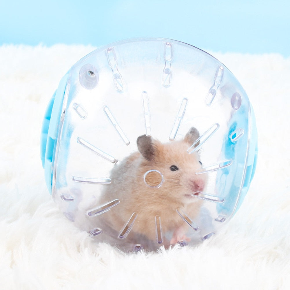 Plastic Exercise Ball For Hamster And Other Small Rodents