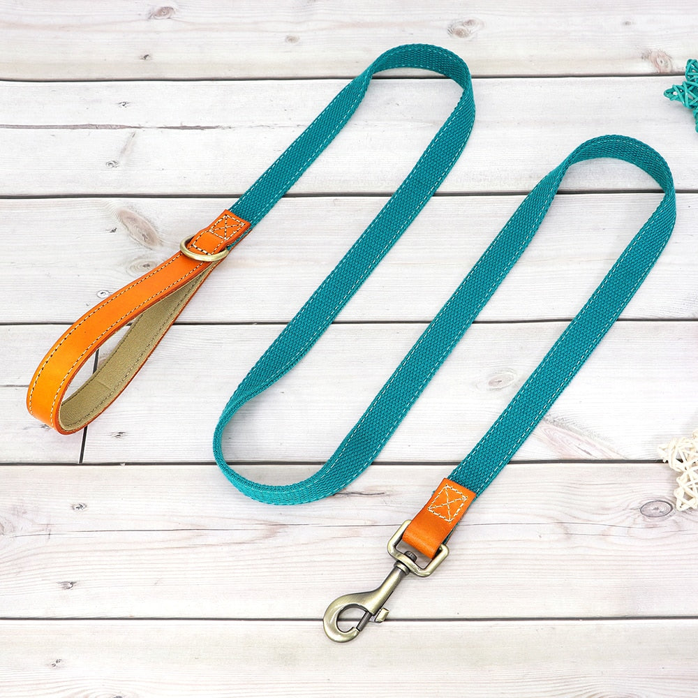 Nylon Custom Dogs Puppies Collar & Lead Set Personalized Genuine Leather