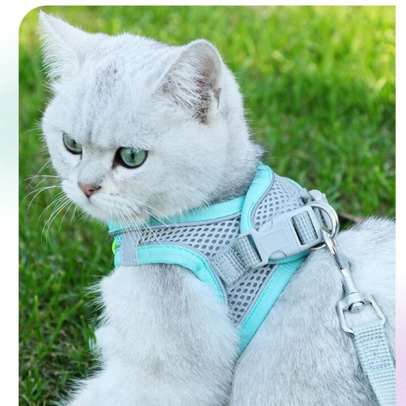 Escape Proof Cat Harness and Lead Set Adjustable Mesh