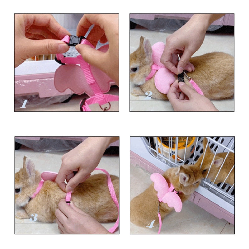 Cute Angel Wing Personalised Harness and Lead for Cats, Rabbits & Small pets