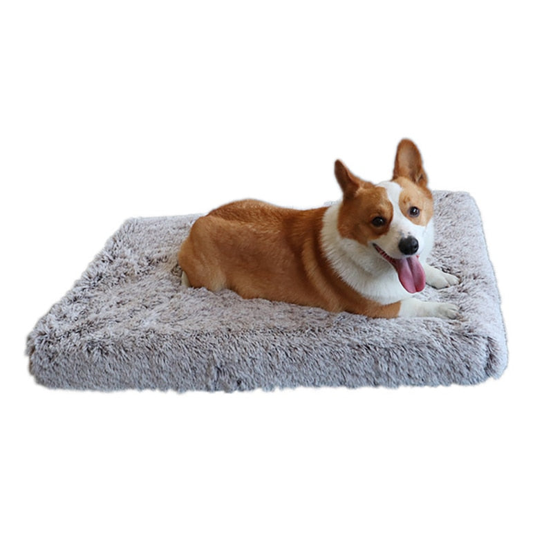 Plush Dog Bed with Removable Covers for Cleaning Super Soft Claming Beds