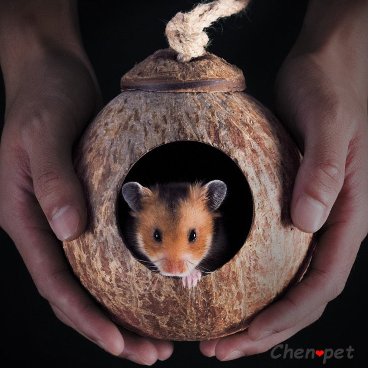 Natural Small Pet Coconut Nests