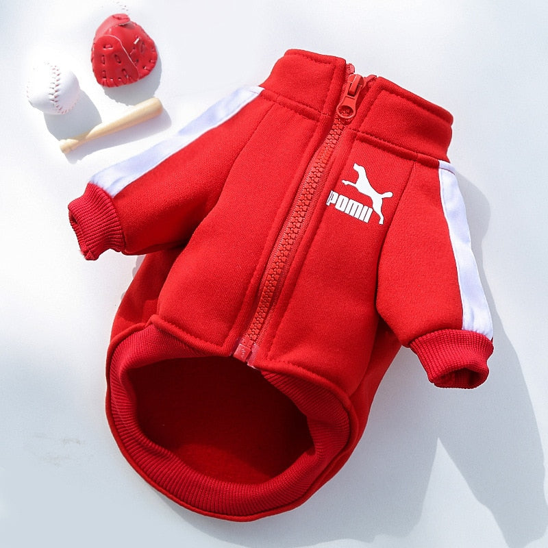 Tracksuit Style Winter Jacket For Small And Medium Dogs