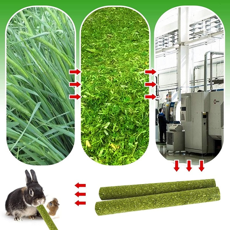Carrot Chew Toy For Hamsters And Other small Rodents(Safe and healthy teeth grinding stick)