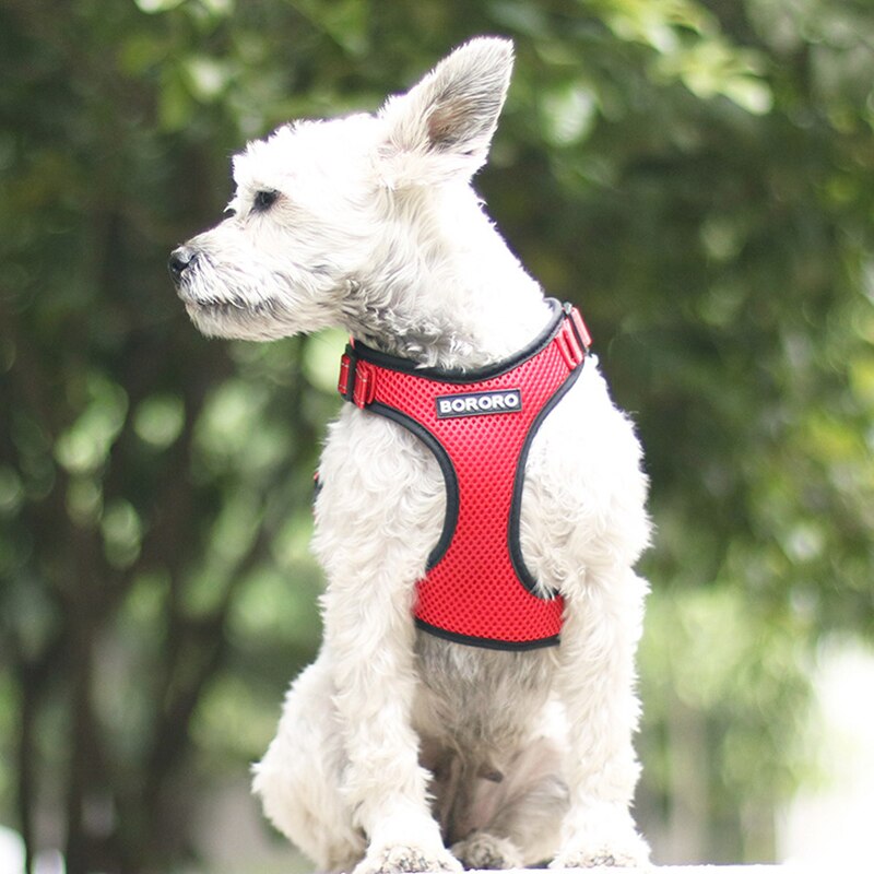 Adjustable Mesh Comfort Dog Harness(Available in different sizes and colours)