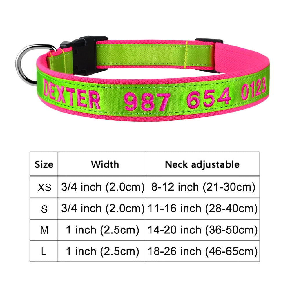 Adjustable Nylon Dog Collar with Embroidered Name(Available in range of colours and sizes)
