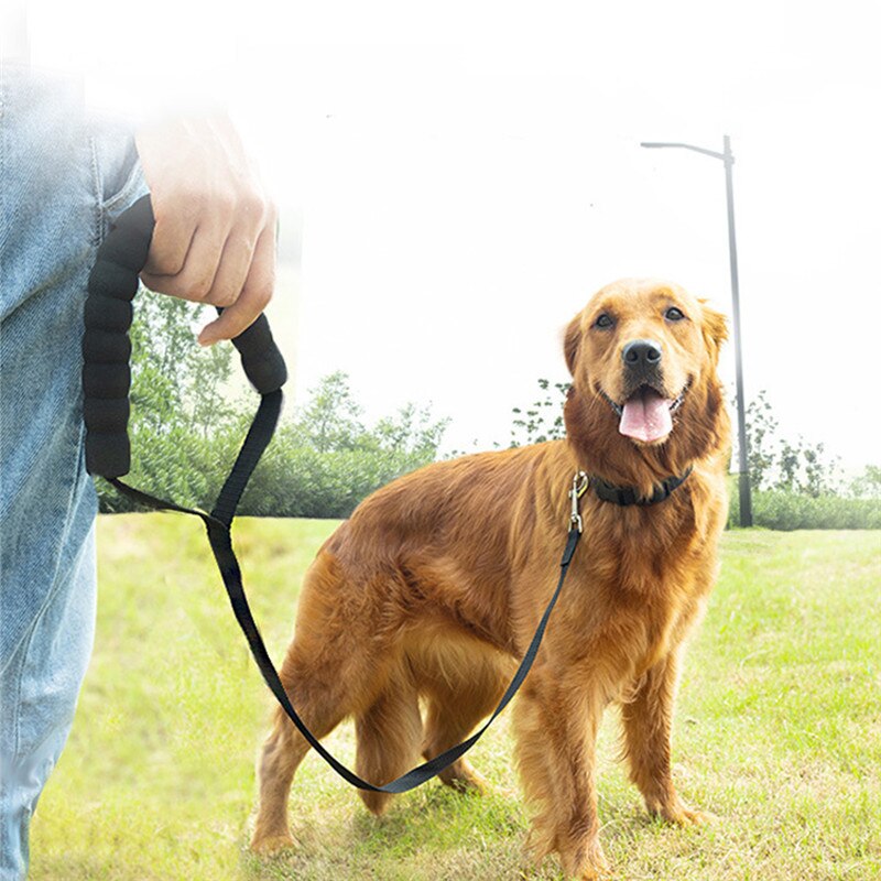 Long Dog Lead with or without Comfortable Sponge Handle