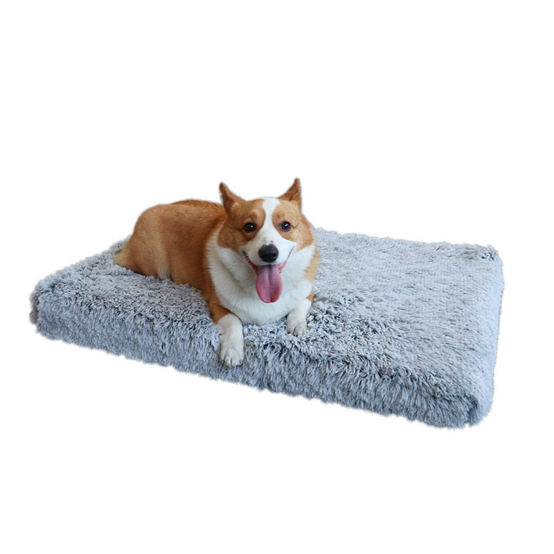 Plush Dog Bed with Removable Covers for Cleaning Super Soft Claming Beds