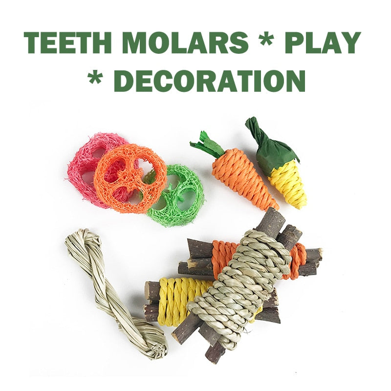 Small Pet/Rodent Chew Toys For Safe And Healthy Teeth Grinding