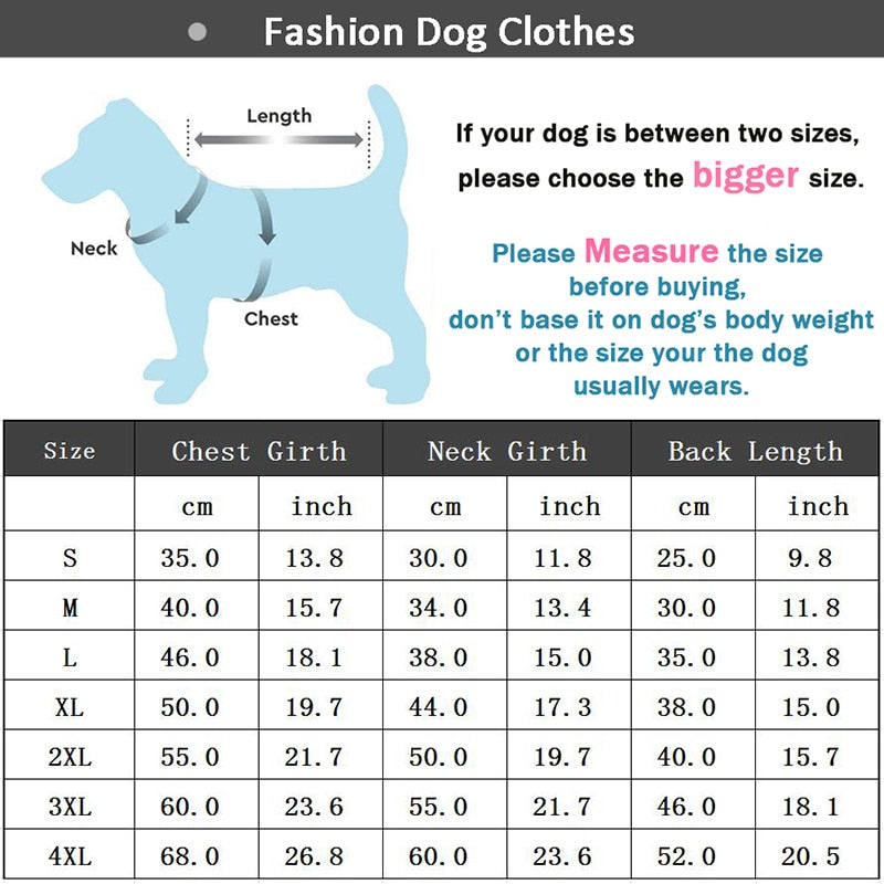 Tracksuit Style Winter Jacket For Small And Medium Dogs