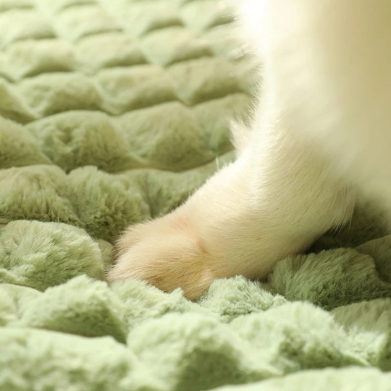 Warm Dog Mat/Luxury Sofa for Small Medium Dogs Removable Cover Washable