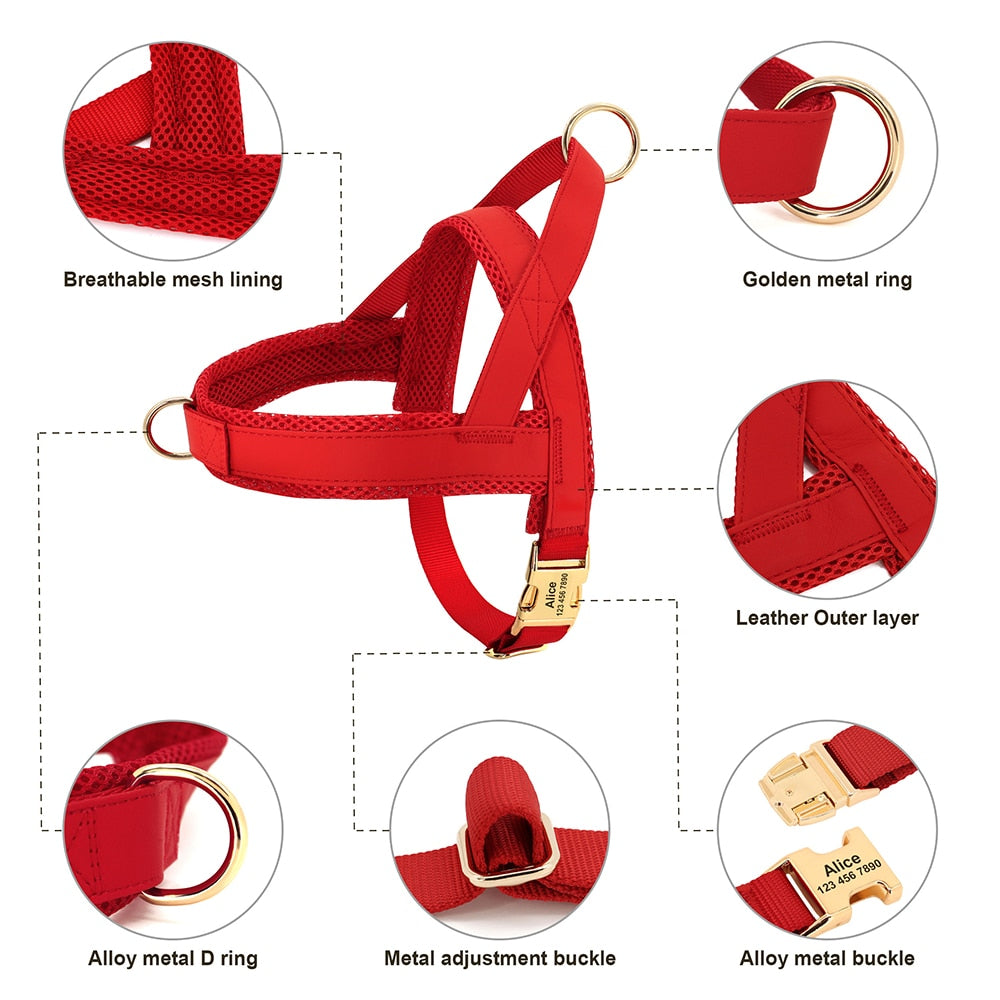 Customized Leather Dog Collar, Harness & Lead Set Personalised For Small Medium Large Dogs