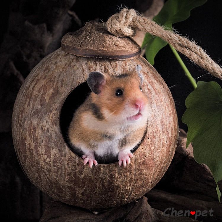 Natural Small Pet Coconut Nests