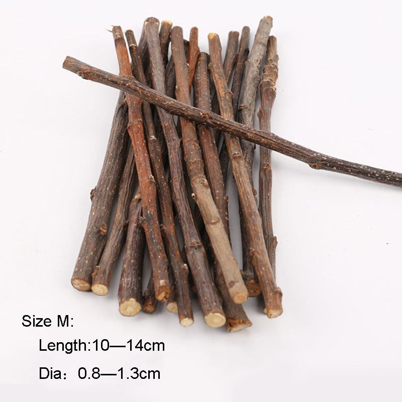 Teeth Grinding Apple Tree Stick with Minerals For Hamsters and Other Small Rodents