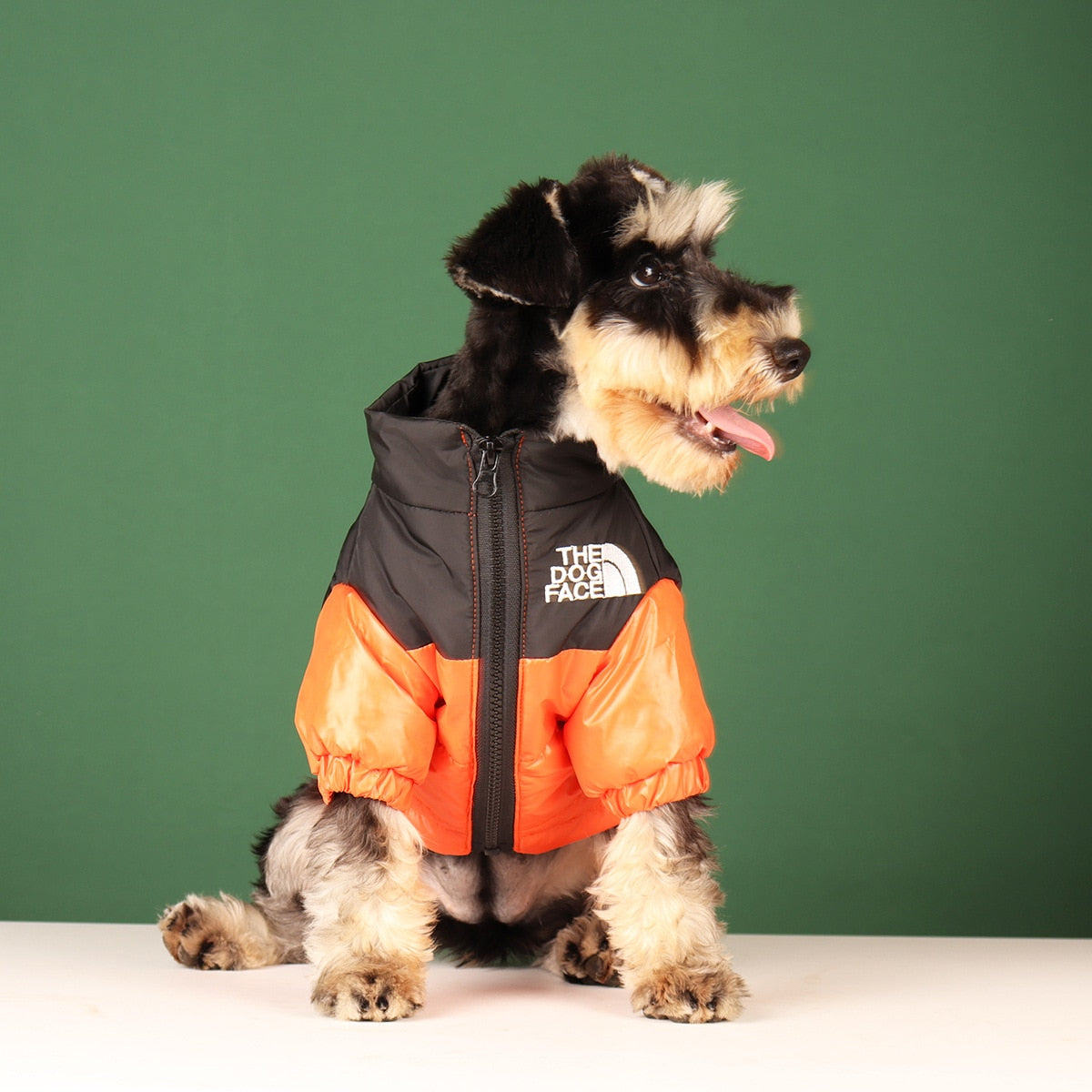 Dogs Windproof Showerproof Reflective On Trend Jacket