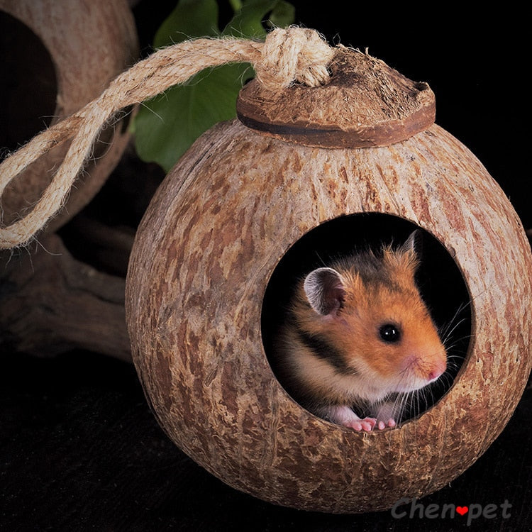 Natural Small Pet Coconut Nests