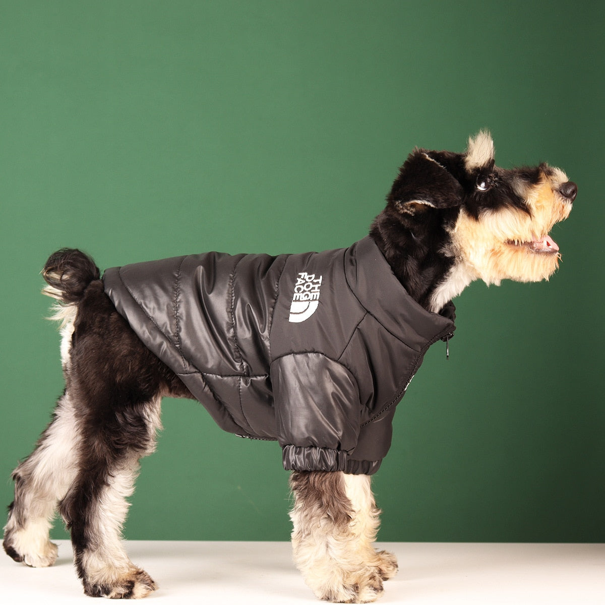 Dogs Windproof Showerproof Reflective On Trend Jacket