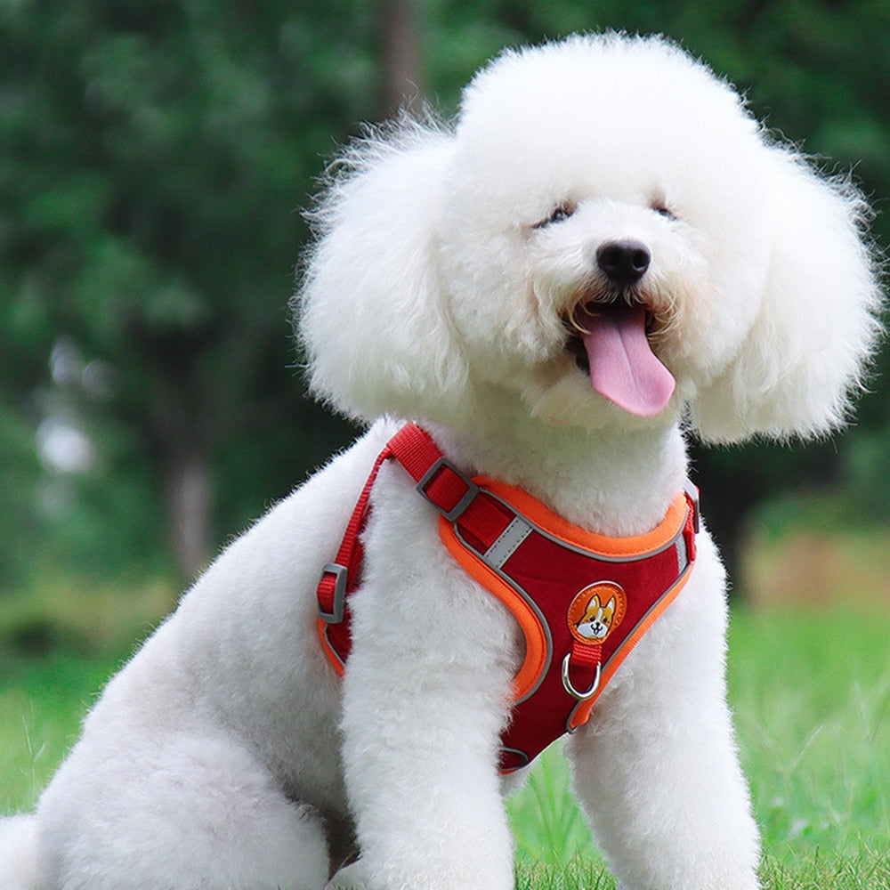 No Pull Pet Dog Harness and Lead Set Adjustable Harness with Reflective Vest
