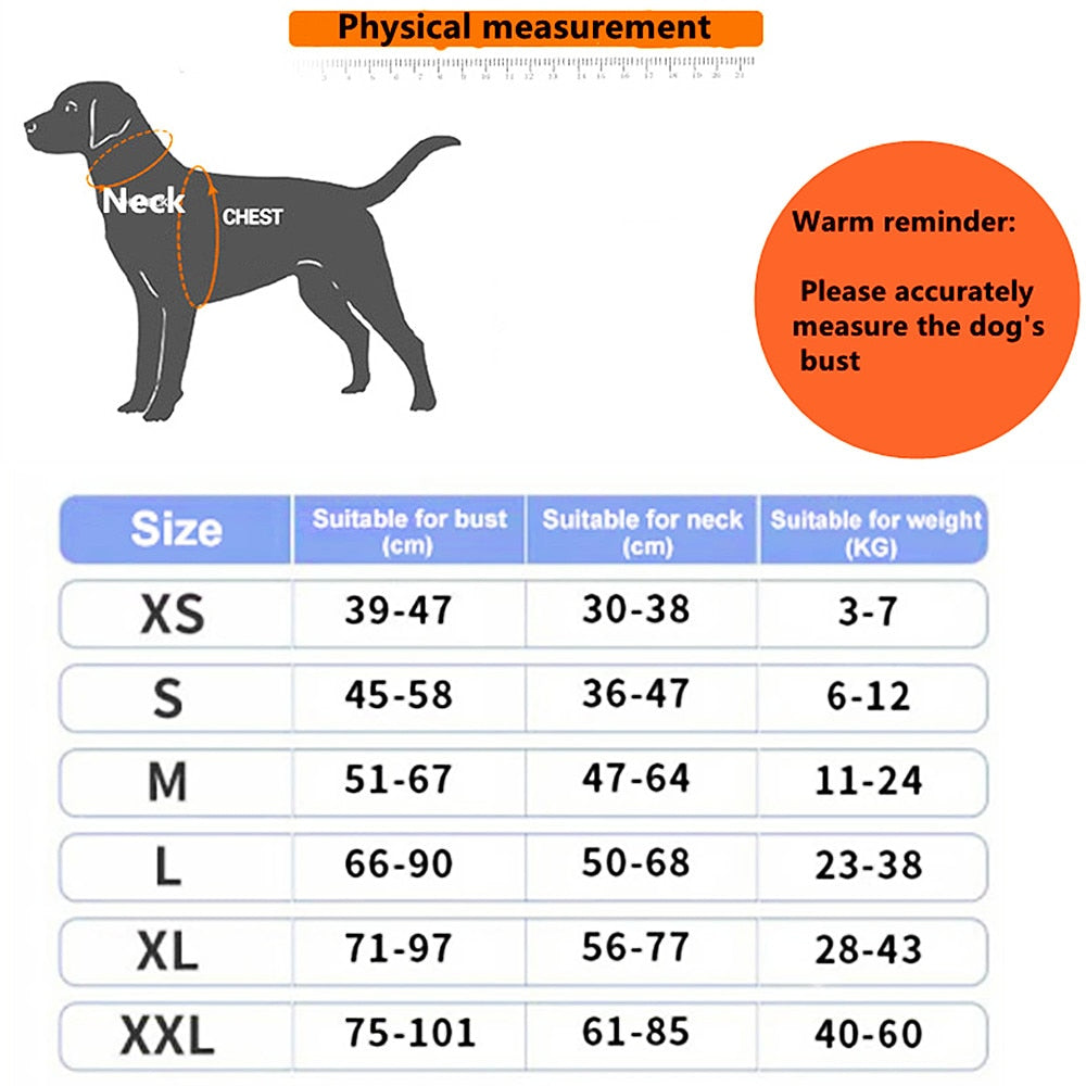 Personalised Dog Harness Reflective Breathable Adjustable for NO PULL Training
