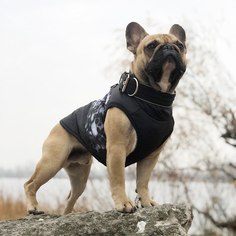 Dogs Waterproof Warm Jacket