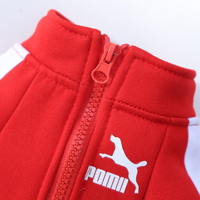 Tracksuit Style Winter Jacket For Small And Medium Dogs