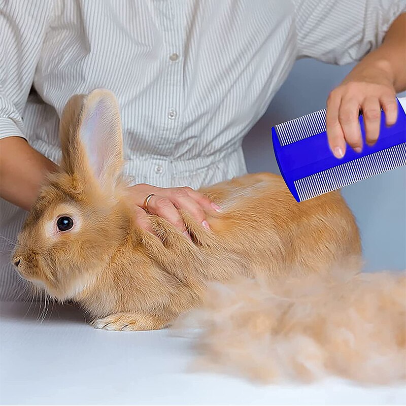 Small Pet And Rodent Grooming Kit with Tear Stain Remover Combs Nail Clippers & Double-Sided Shampoo Bath Brush