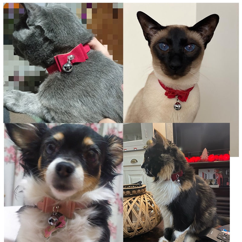 Velvet Bow Tie Cat Collar With A Bell(Multiple colours available)