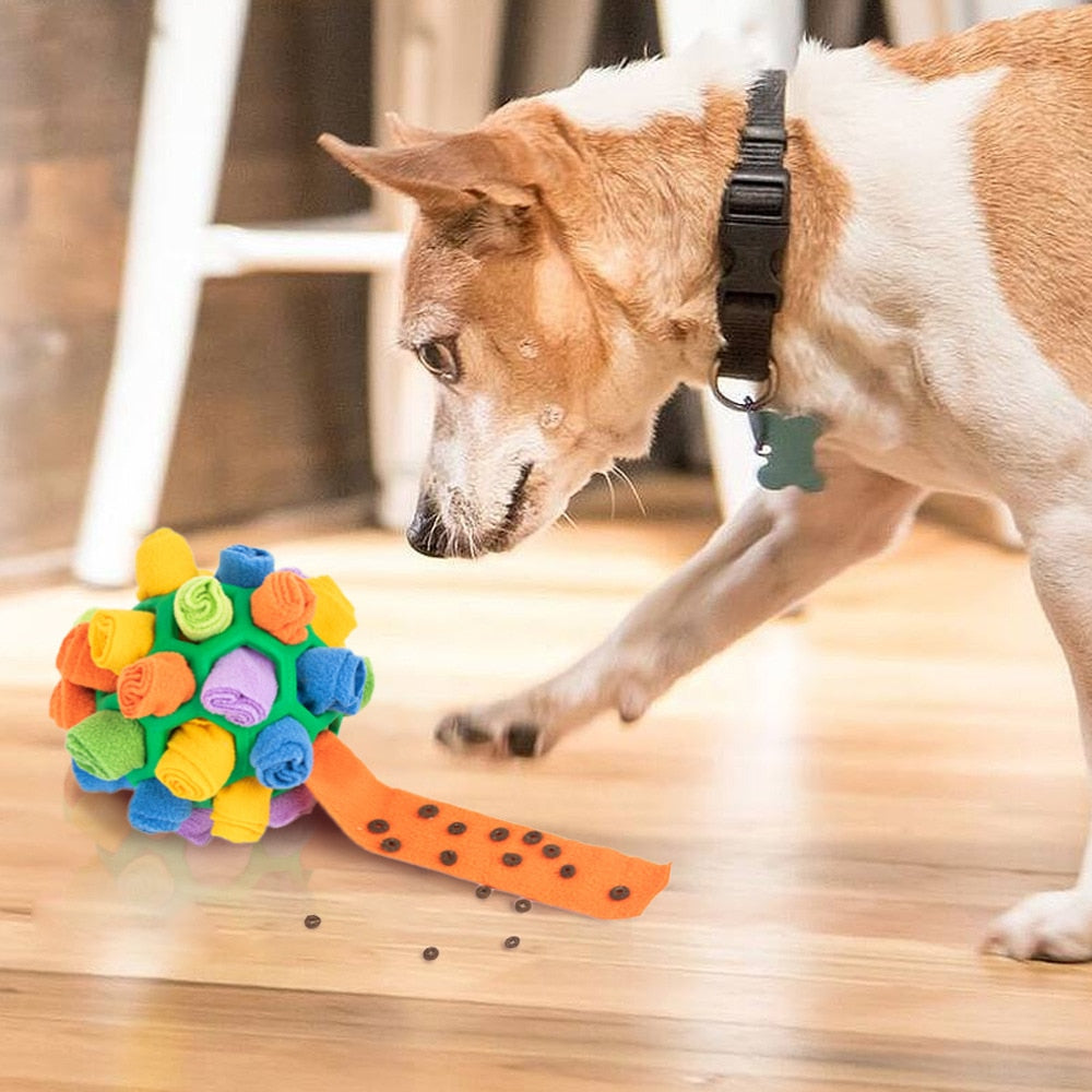 Dog Sniffing Ball Toy for Food Slow Feeding