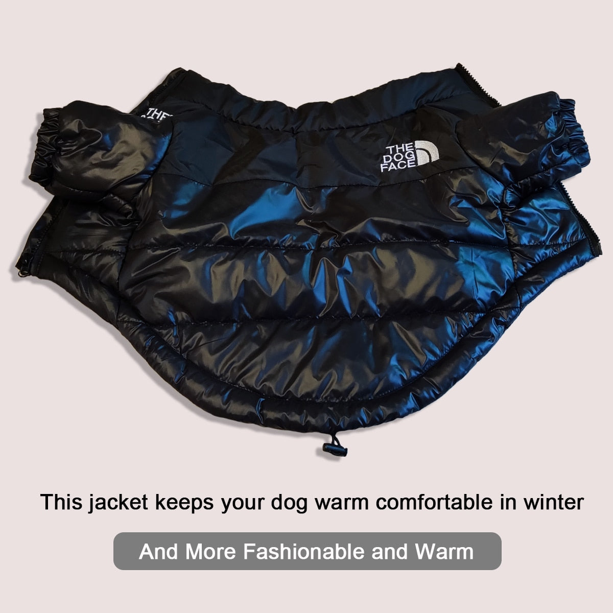 Dogs Windproof Showerproof Reflective On Trend Jacket