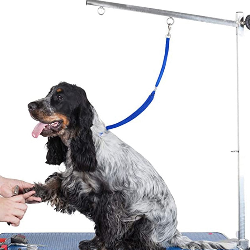 Grooming Loops for Safety for Dogs Nylon Restraint Adustable