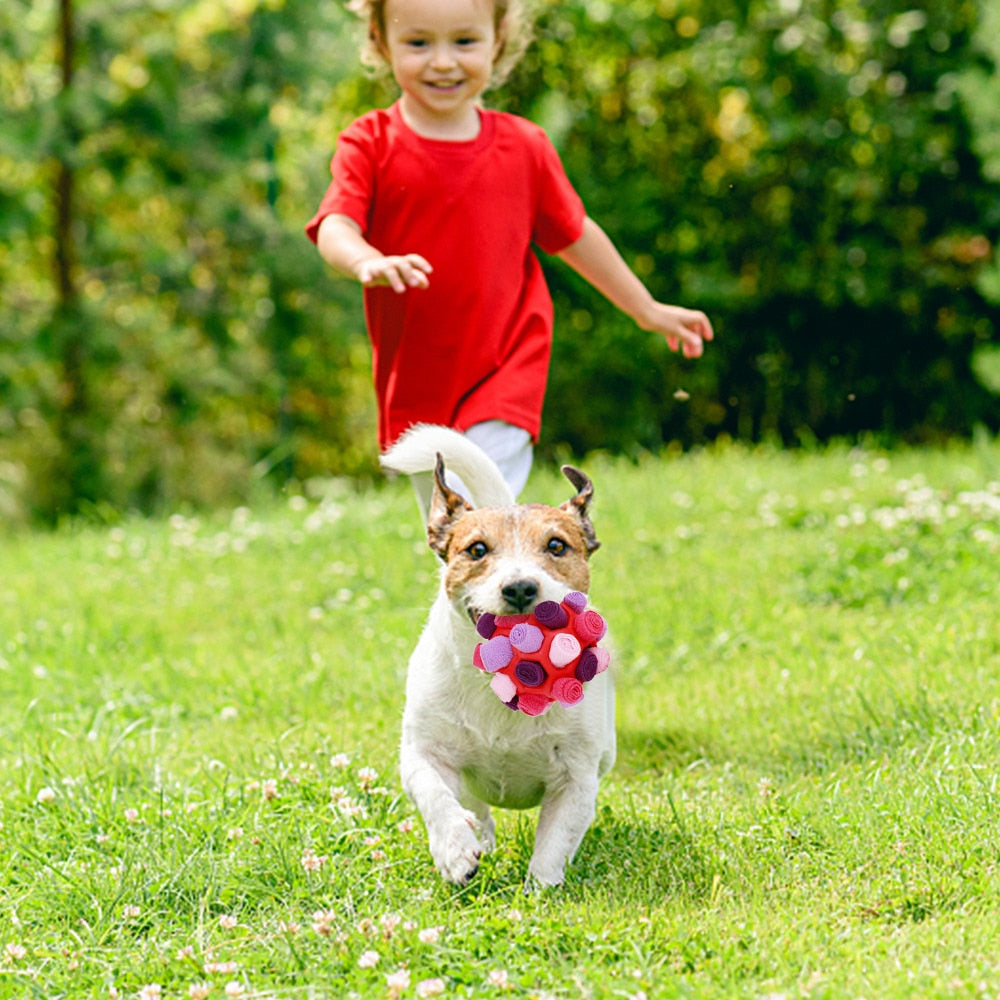 Dog Sniffing Ball Toy for Food Slow Feeding