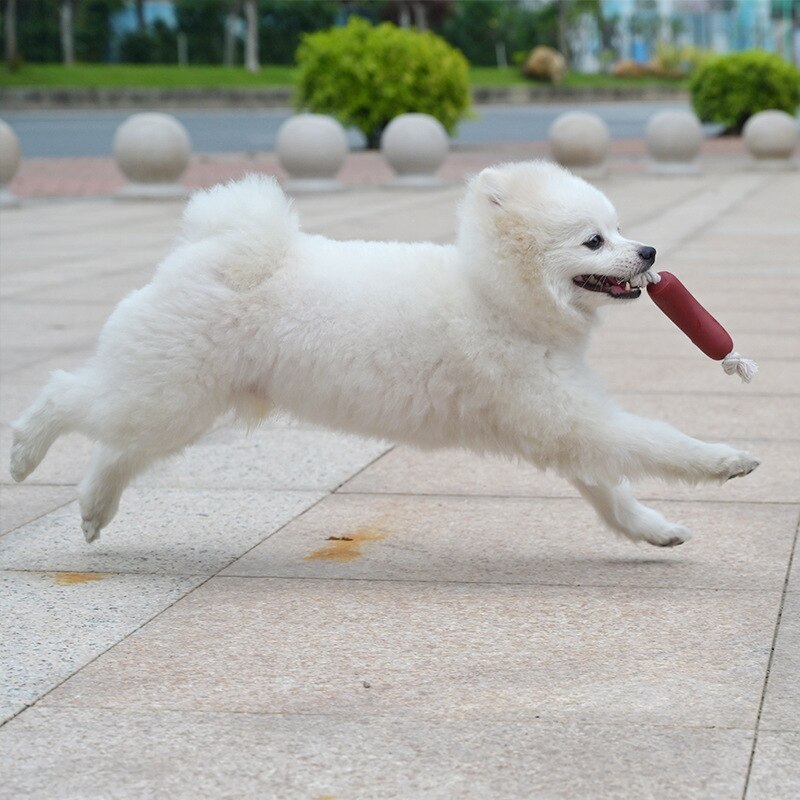 Dog Toys Funny Sausage Shape For Puppies & Dogs