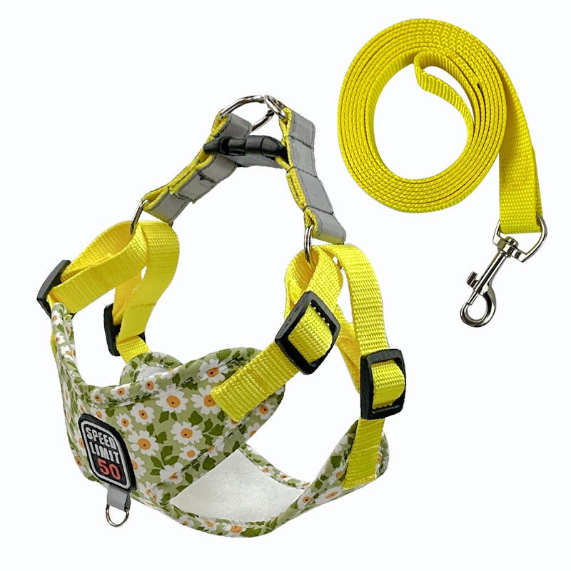 No Pull Dog Harness & Lead Set for Small Medium Dogs with Reflective Harness Vest