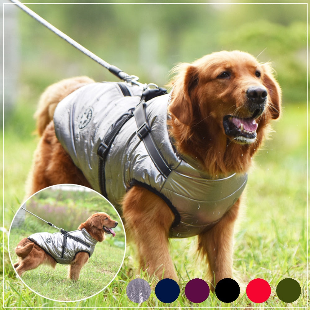 Dog Jacket With Harness Warm & Waterproof