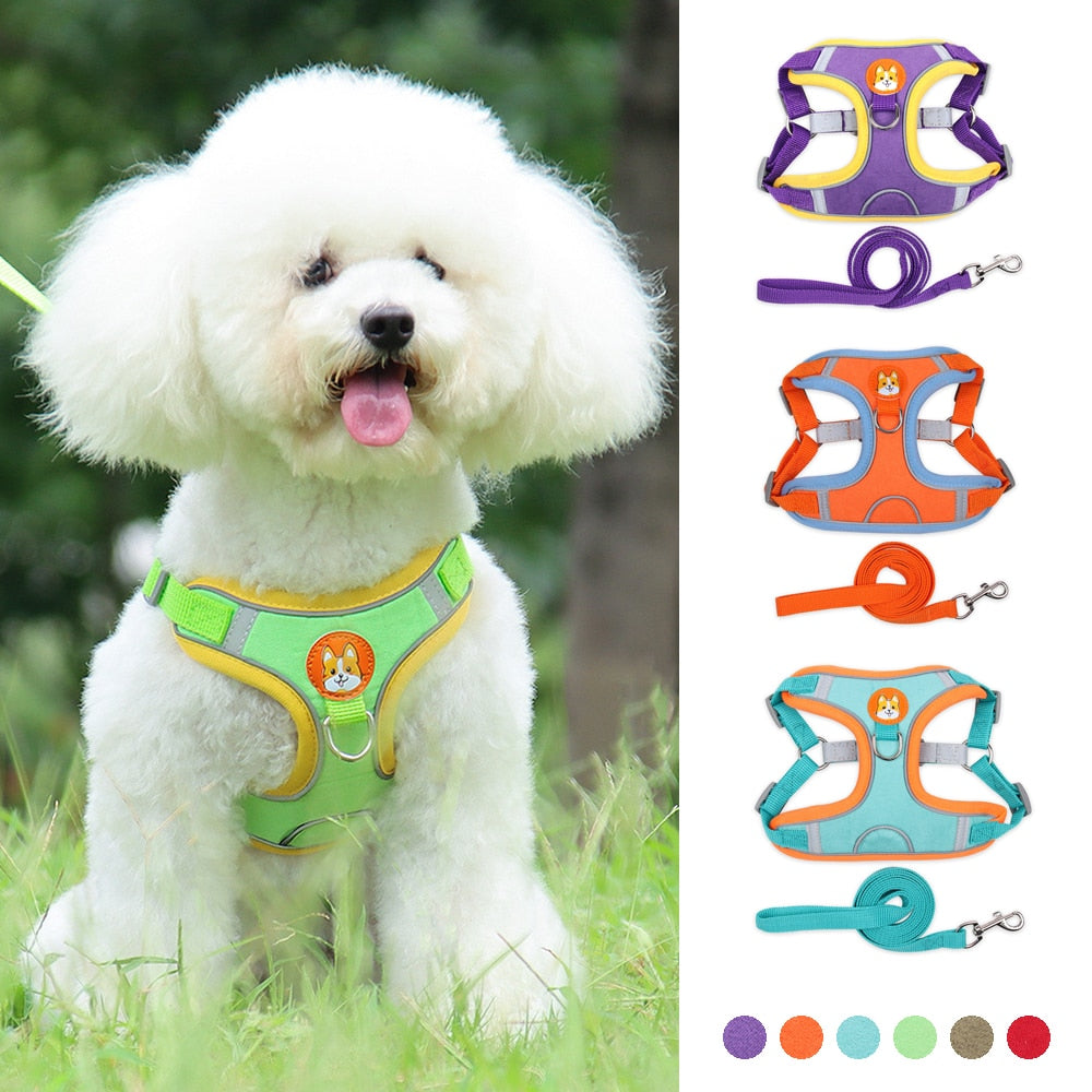 No Pull Pet Dog Harness and Lead Set Adjustable Harness with Reflective Vest