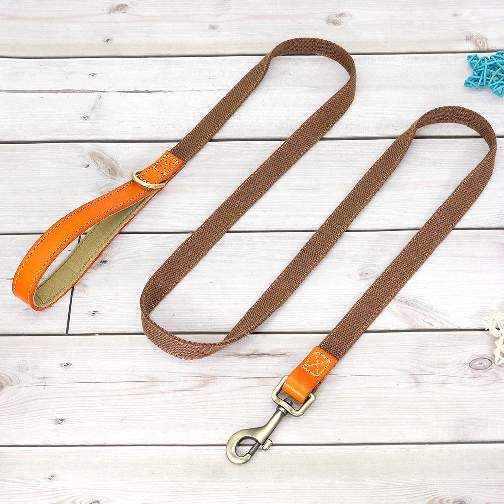 Nylon Custom Dogs Puppies Collar & Lead Set Personalized Genuine Leather