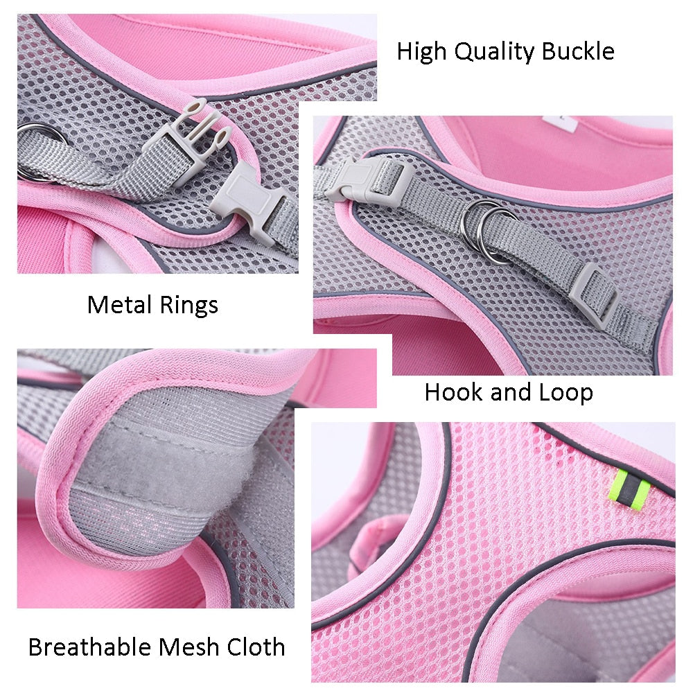 Escape Proof Cat Harness and Lead Set Adjustable Mesh