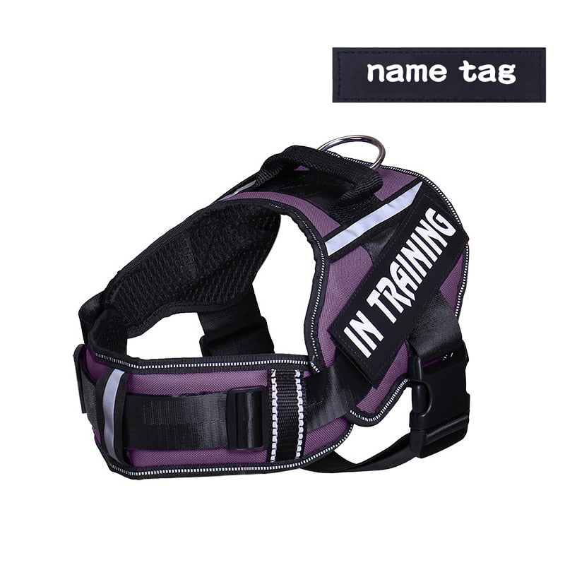 Personalised And Reflective Adjustable Dog Harness(Sizes: S-XL)