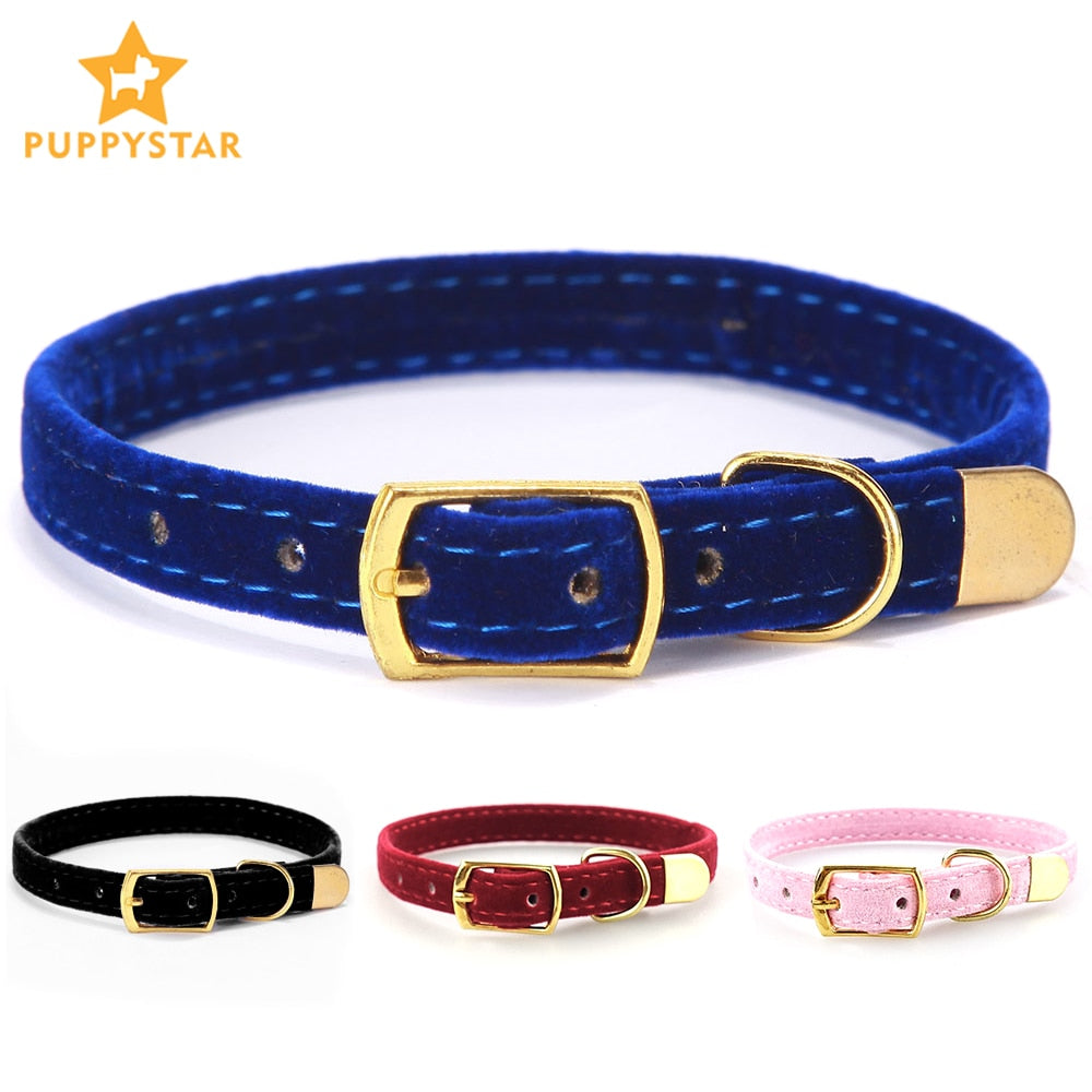 Cat Collar With Bell
