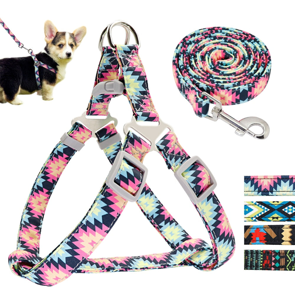 Adjustable Nylon Small/Medium Dog Harness & Lead Set